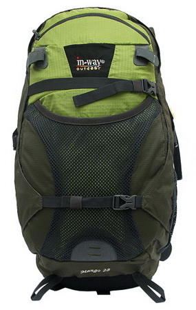 In-Way Mango 28 green