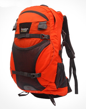 In-Way Mango 28