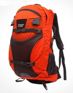 In-Way Mango 28
