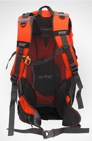 In-Way Mango 28 back